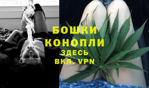 индика Абаза