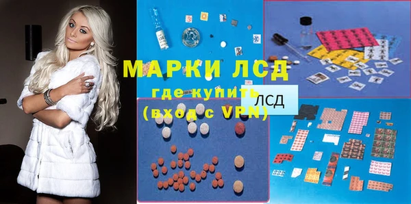 индика Абаза