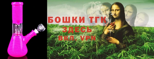 индика Абаза
