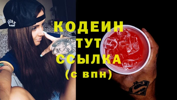 индика Абаза