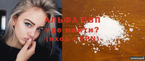 индика Абаза
