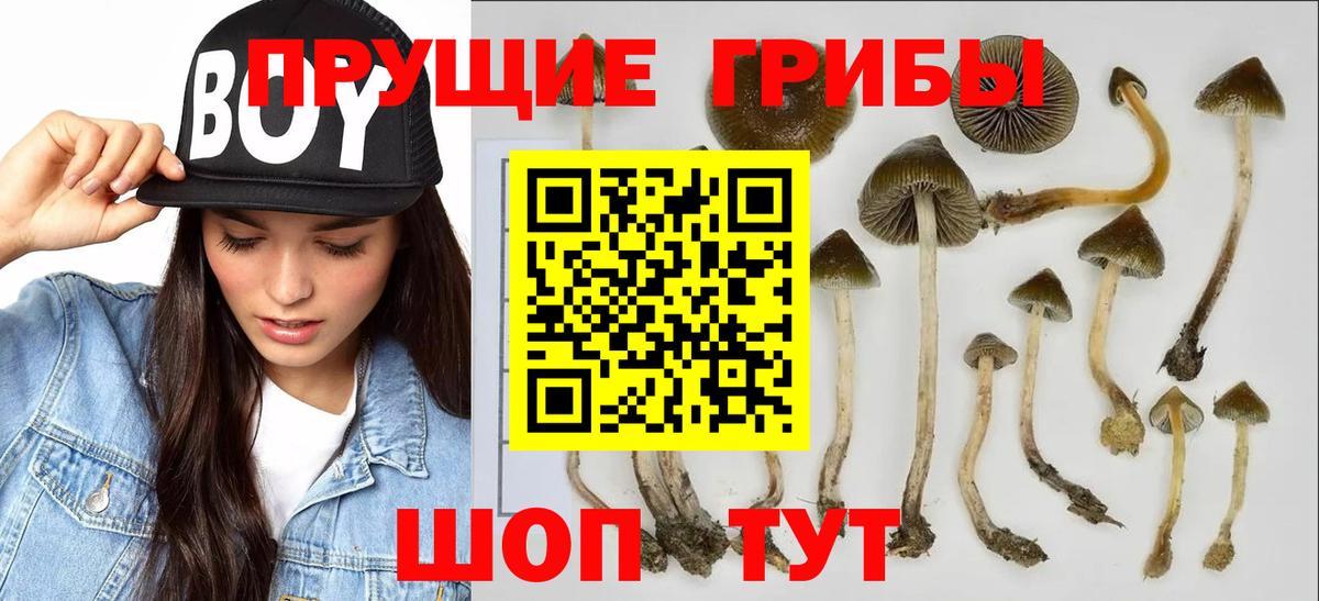Псилоцибиновые грибы Psilocybine cubensis  Псилоцибиновые грибы MAGIC MUSHROOMS  Нефтеюганск  Вход с VPN 